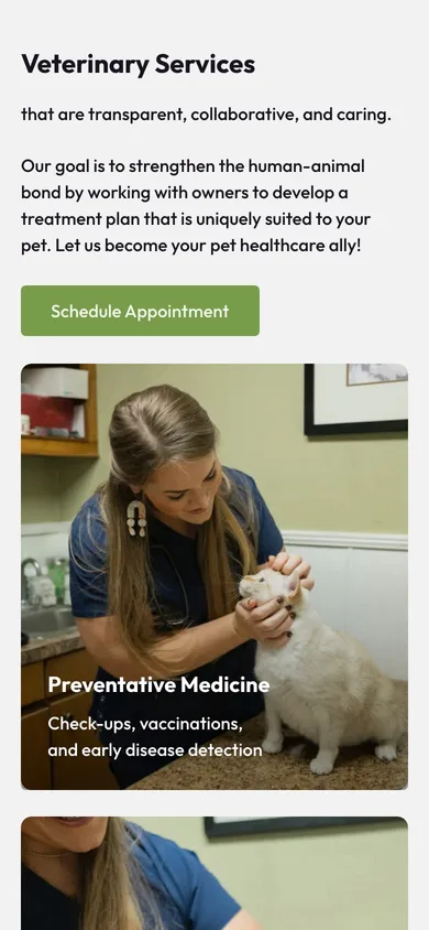 Madison Ridgeland Animal Hospital — mobile view 7 of 8
